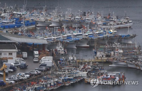 서귀포항에 대피한 어선들