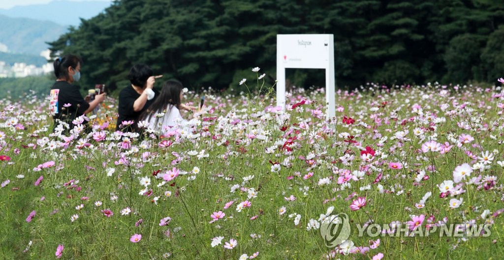 가을 만끽
