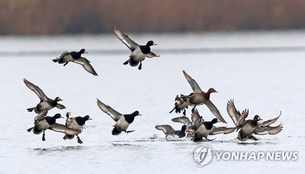 겨울 지내러 왔어요