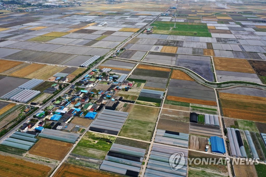 알록달록 초여름 들녘
