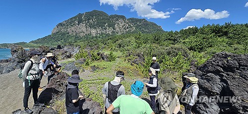 [픽! 제주] 거대 주상절리 산방산과 황우치 해변 아아용암