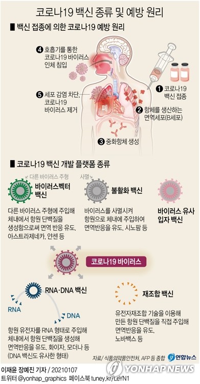 [그래픽] 코로나19 백신 종류 및 예방 원리