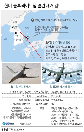 [그래픽] 한미 '블루 라이트닝' 훈련 재개 검토