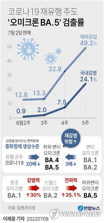 [그래픽] 코로나19 재유행 주도 '오미크론 BA.5' 검출률