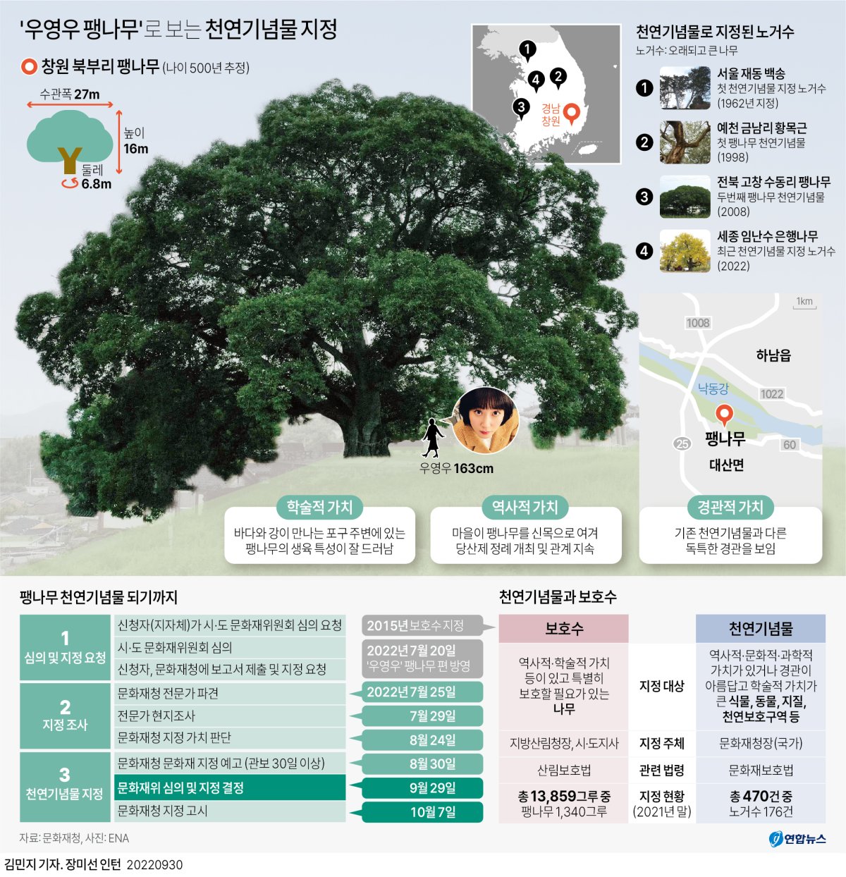  '우영우 팽나무'로 보는 천연기념물 지정