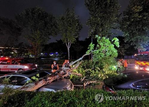إعصار «هينامنور» يغادر كوريا الجنوبية مخلفا 3 قتلى و8 مفقودين - 2