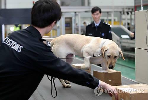 韩国海关上半年缉毒总量同比减四成