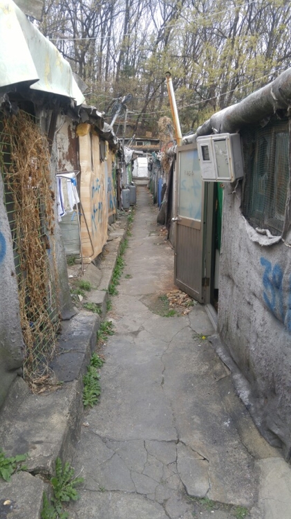 An alley in Guryong Village, shown in this photo taken on April 13, 2017, feels deserted. (Yonhap)