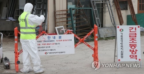 S. Korea to cull 120,000 poultry over bird flu - 1