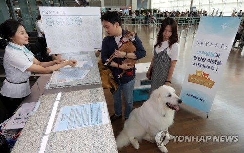 This undated file photo shows a man arriving with his pet dogs at a check-in counter in Incheon International Airport, west of Seoul. (Yonhap)