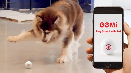  GomiLabs creating AI devices to care for and entertain pets