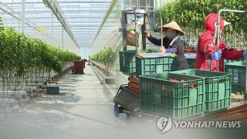 (LEAD) Korea seeks to extend foreign workers' stay permits to cope with seasonal labor shortage - 1