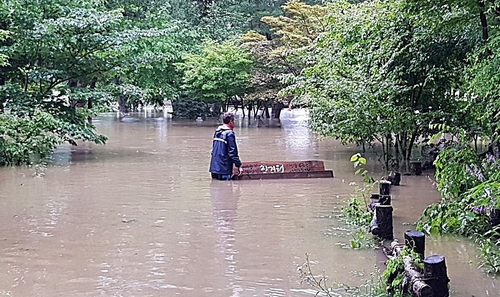 This photo, provided by the company that runs Nami Island, shows the tourist attraction submerged in water on Aug. 6, 2020. (PHOTO NOT FOR SALE)