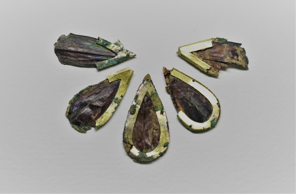 This photo, provided by the Gyeongju National Research Institute of Cultural Heritage on Dec. 7, 2020, shows jewel beetle ornaments that were found at Tomb No. 44 at Jjoksaem in Gyeongju, South Korea. (PHOTO NOT FOR SALE) (Yonhap)