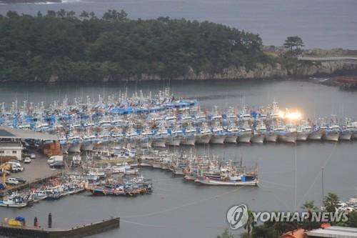 Fishing ships are tied up at a port in Jeju, South Korea in anticipation of the arrival of Typhoon Chanthu on Sept. 16, 2021. (Yonhap)