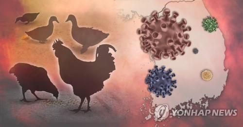 S. Korea reports another suspected bird flu case