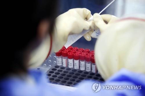 A medical worker checks COVID-19 test samples at a makeshift testing station in the southwestern city of Gwangju on Aug. 17, 2022, in this photo provided by a ward office of the city. (PHOTO NOT FOR SALE) (Yonhap)