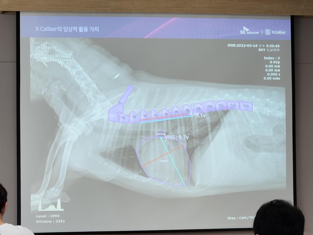 SK Telecom develops AI-based pet dog diagnostics platform for veterinarians - Yonhap News Agency