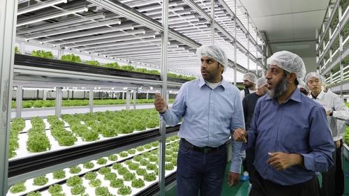Nongshim exports smart farm technology to Oman