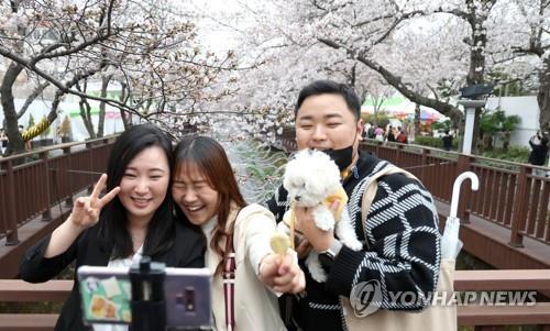 People enjoy spring in Changwon, 301 kilometers southeast of Seoul, on March 24, 2023, surrounded by cherry blossoms. (Yonhap)