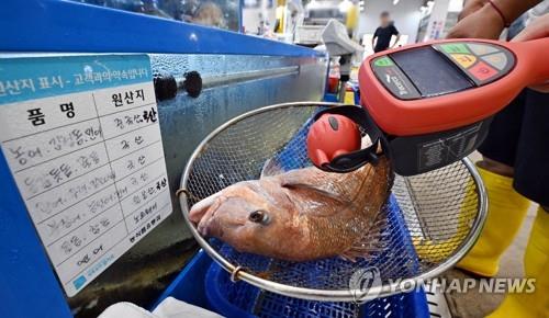 An official measures radiation levels of fish at a fishery market in Suwon, south of Seoul, on Aug. 22, 2023. (Pool photo) (Yonhap)