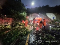(2nd LD) Heavy rain soaks Seoul, central regions; 1 dead in wall collapse