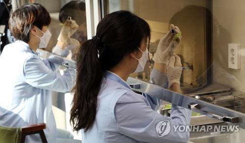 Des travailleurs médicaux se préparent à inoculer le vaccin de Pfizer contre le Covid-19 dans un centre d'inoculation à Séoul le 1er avril 2021, date à laquelle la vaccinbation pour les personnes âgées de 75 ans et plus a commencé dans tout le pays. 
