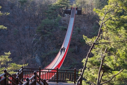 韓国最長「紺岳山つり橋」 ソウル近郊・坡州の新名所 | 聯合ニュース