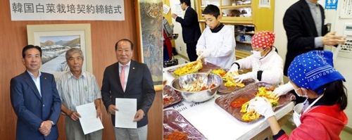 韓国ハクサイを日本で栽培　キムチ漬け市販へ＝新宿韓国商人連合会