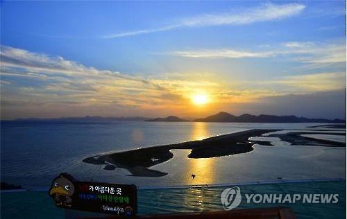釜山シティーツアー　「洛東江の夕日」を目玉に夜間観光開発へ