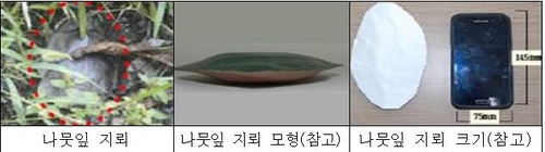 木の葉の形をした地雷（合同参謀本部提供）＝（聯合ニュース）≪転載・転用禁止≫