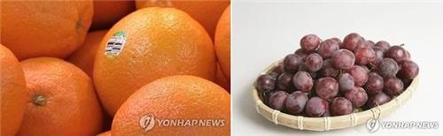 "포도·오렌지의 2성분 혼합, 당뇨병에 효과" - 2