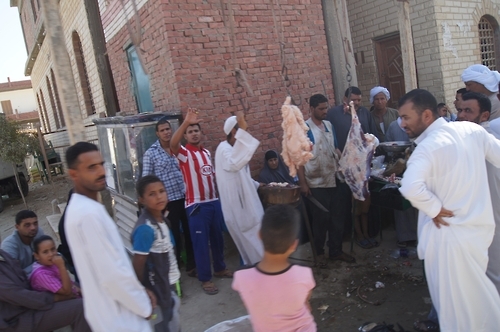 이집트 시골마을의 추석 희생제