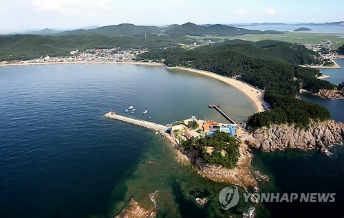 청정바다로 돌아온 만리포해수욕장 [연합뉴스 자료사진]