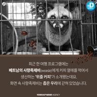 [카드뉴스] 최고의 커피?…'동물 똥 커피'의 빛과 그림자 - 4