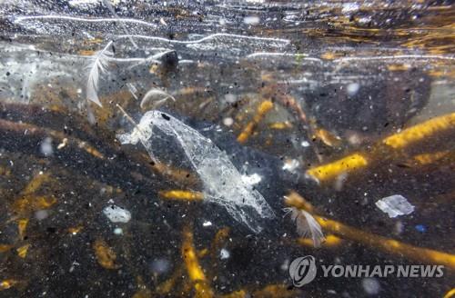 각종 플라스틱과 쓰레기로 오염된 바다
