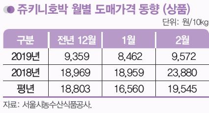 태풍의 나비효과?…주키니·애호박 가격폭락에 농민 울상