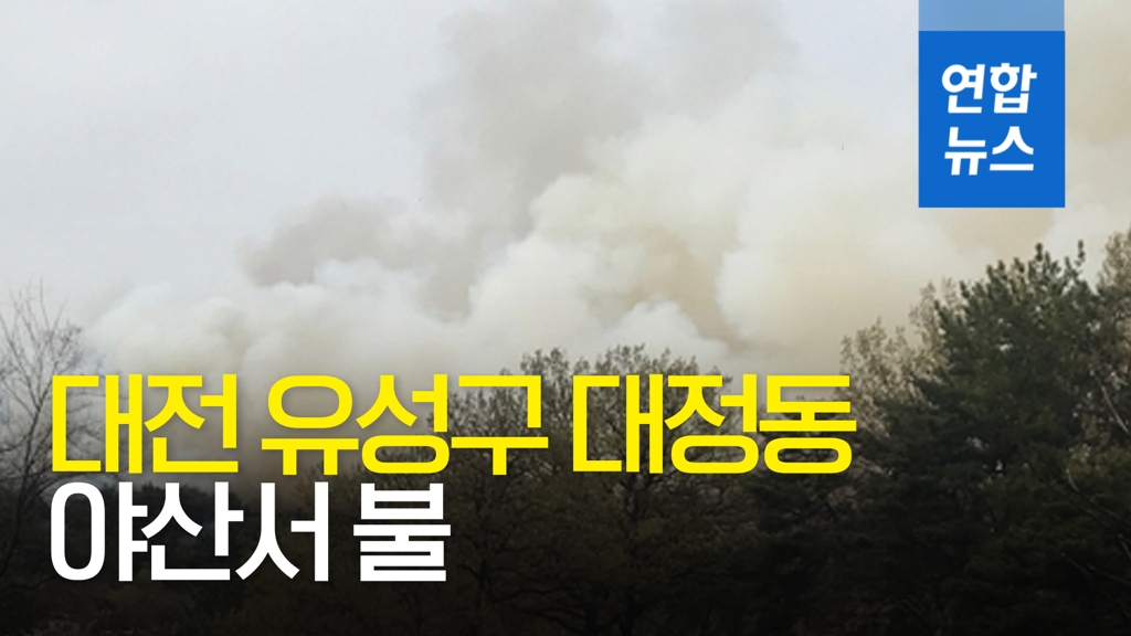[영상] 건조한 날씨 탓에…대전 유성구 대정동 야산서 불 - 2
