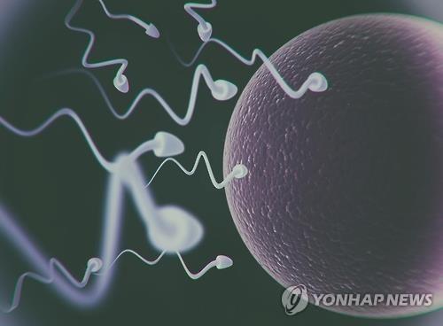 "임신 초기 이혼·실직 등 충격, 아이 정자 수 감소에 영향"