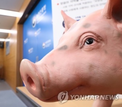 모형 돼지 [연합뉴스 자료사진]