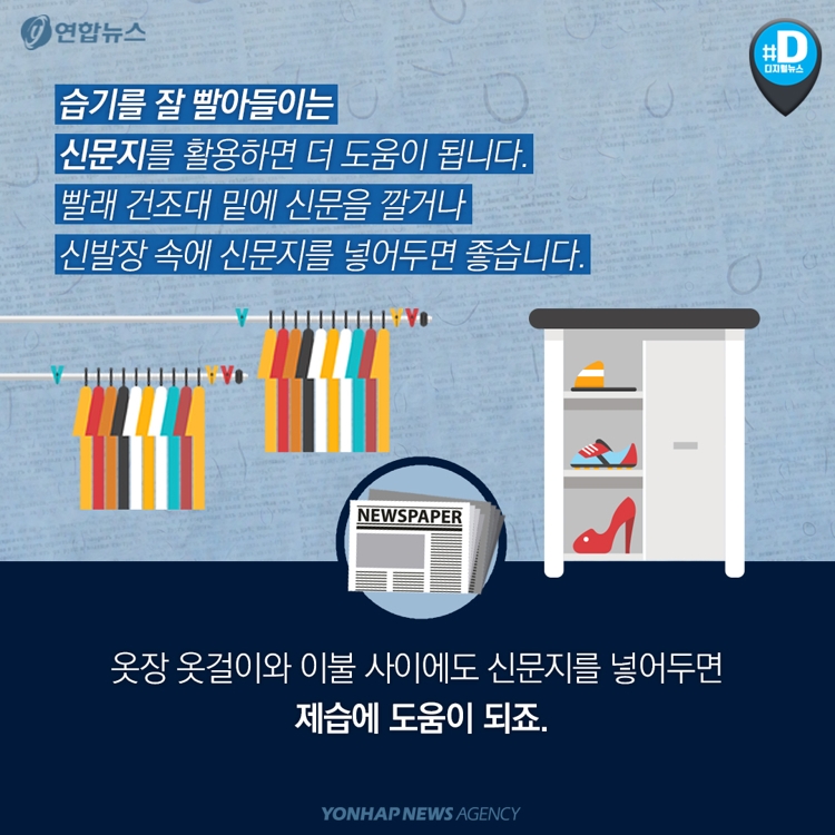 장마철 돈안들이고 제습효과 2