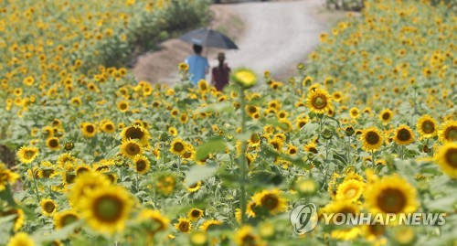 초가을 맞아 산으로·꽃밭으로…축제장도 나들이객 북적