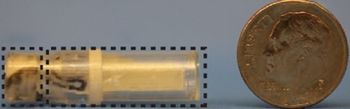 인슐린 캡슐(왼쪽 점선 안, 오른쪽은 크기 비교용 동전) 