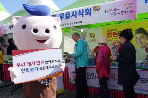대한한돈협회, 마산 국화축제서 돼지고기 소비촉진 행사