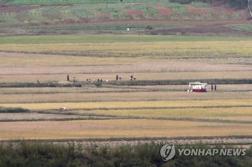 VOA "北, 중국산 곡물 수입액 급증"…식량난 전조?