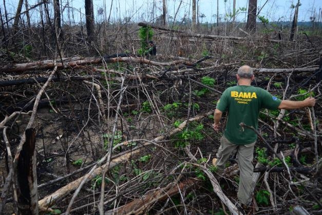 삼림 파괴 현장을 둘러보는 환경·재생 가능 천연자원 연구소(Ibama)의 환경 감시 요원 [브라질 뉴스포털 UOL]