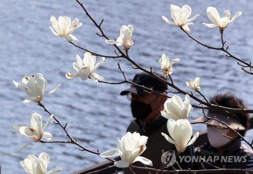 대전·세종·충남 맑음…낮 기온 8∼11도