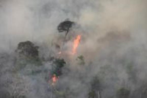 불타는 아마존 열대우림