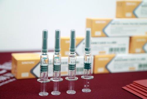 중국이 개발 중인 코로나19 백신 샘플
