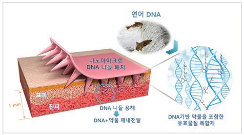 나노마이크로 DNA 니들 패치 기술 모식도 